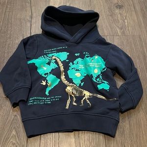 Dinosaur Hooded Sweatshirt | 2-4 Years
